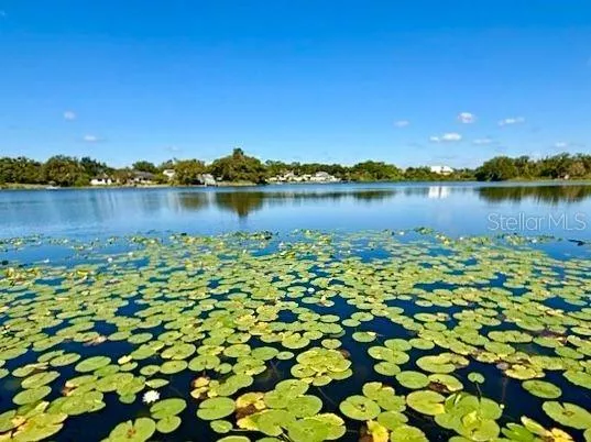 TAMPA