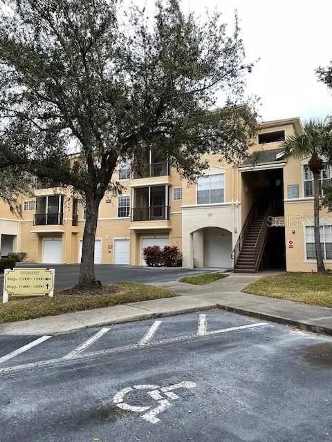 TAMPA