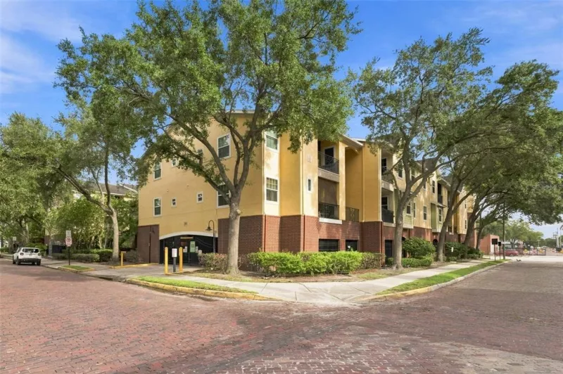 TAMPA