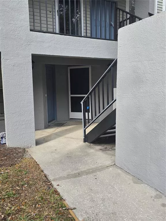 TAMPA