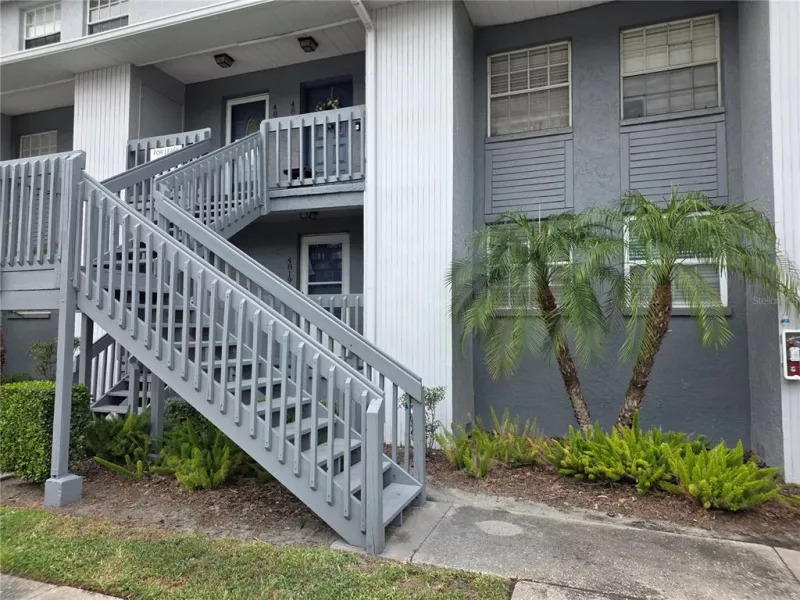 TAMPA