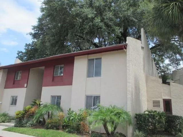 TAMPA