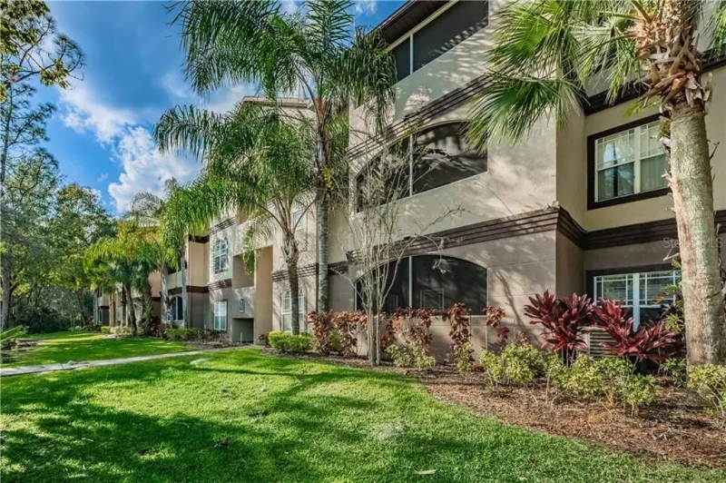 TAMPA