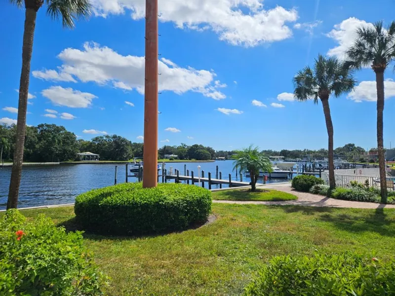 TAMPA
