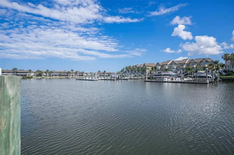 TAMPA