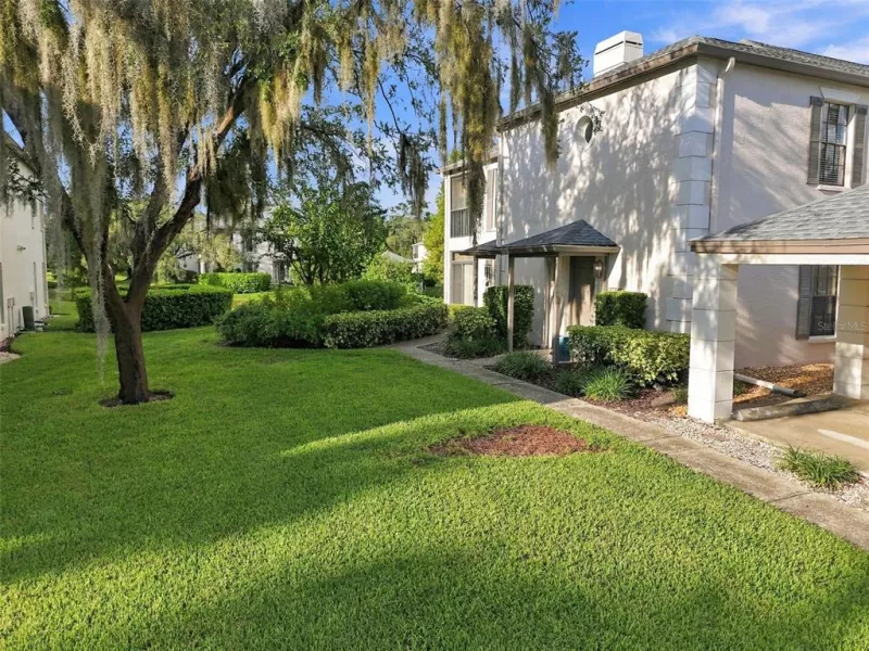 TAMPA
