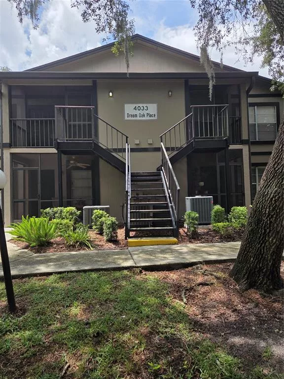 TAMPA