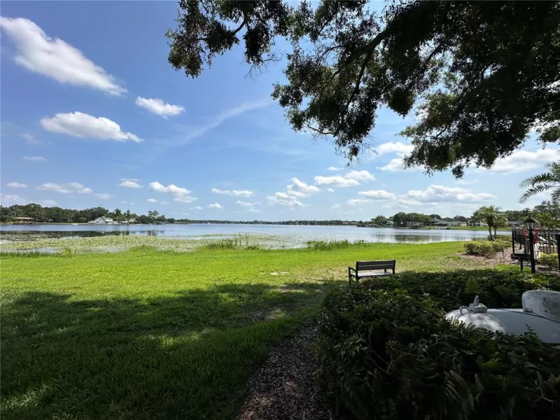 TAMPA