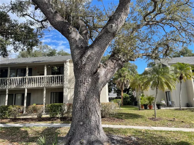 SARASOTA