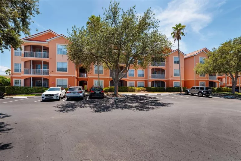 TAMPA