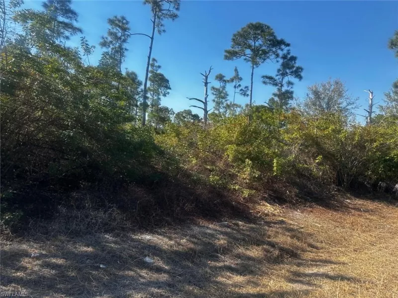 LEHIGH ACRES