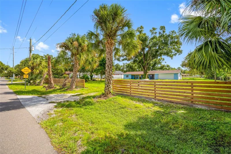 TAMPA