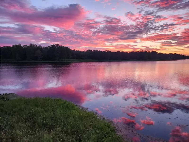 TAMPA
