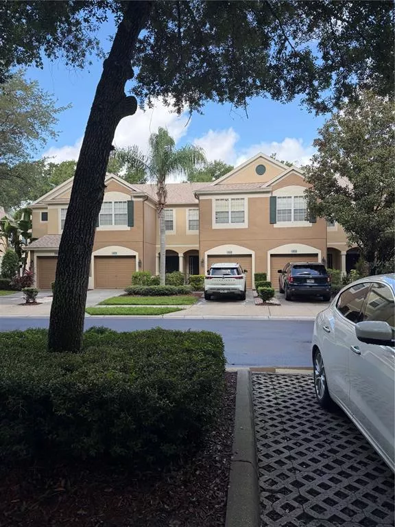 TAMPA