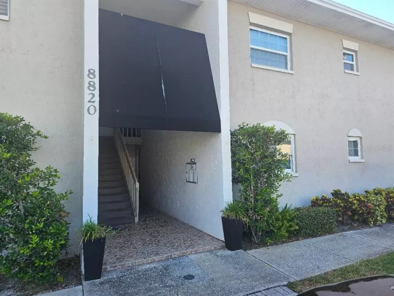 TAMPA