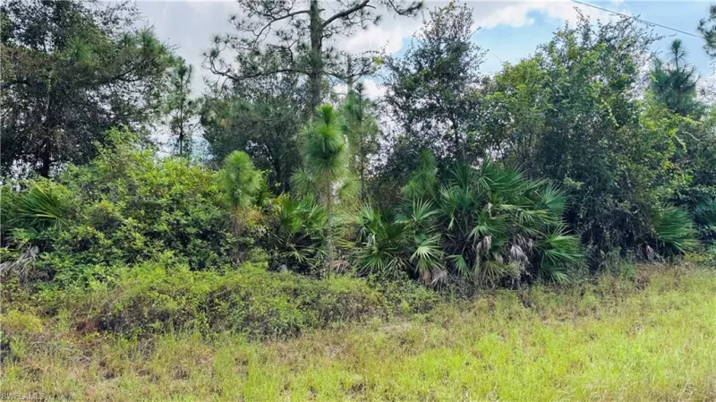 LEHIGH ACRES