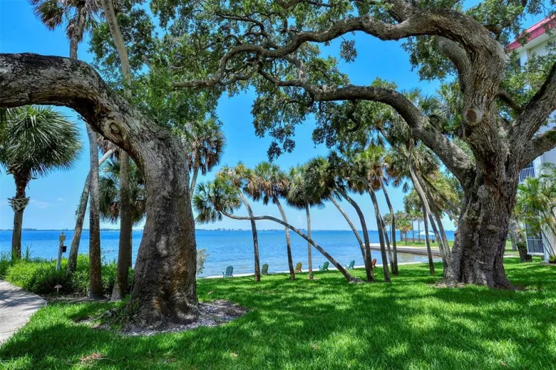 SARASOTA