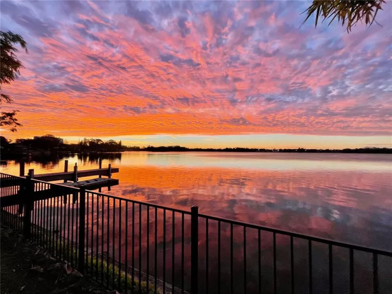 TAMPA