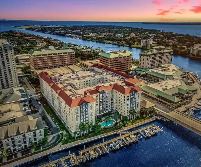 TAMPA