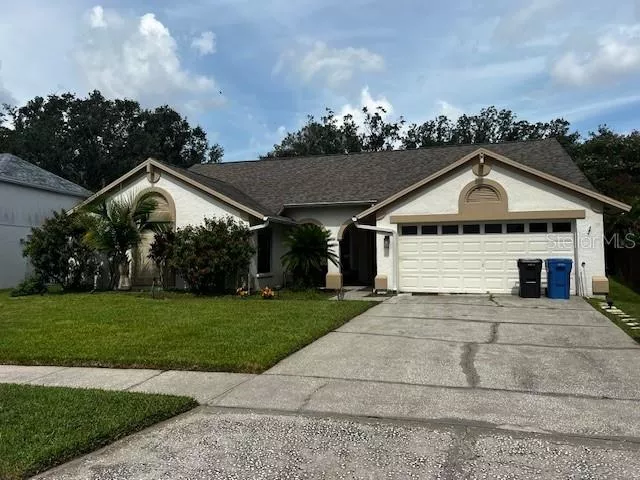TAMPA