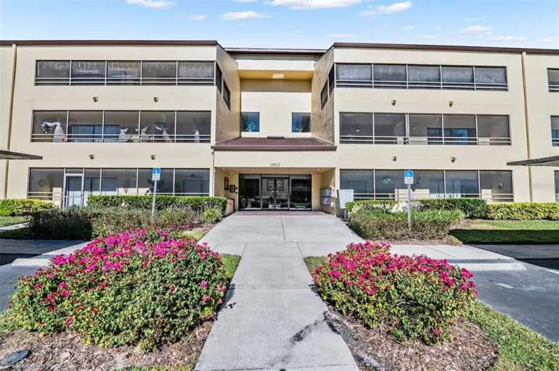 TAMPA
