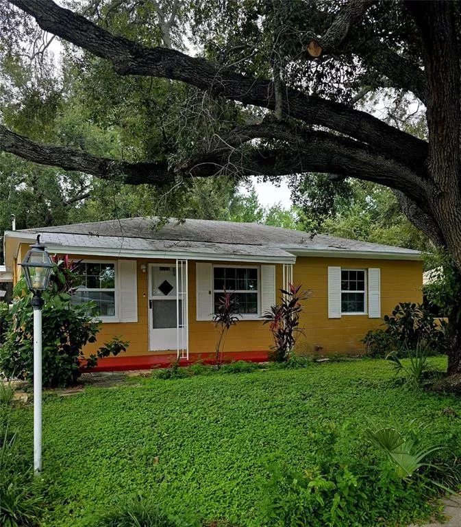 TAMPA