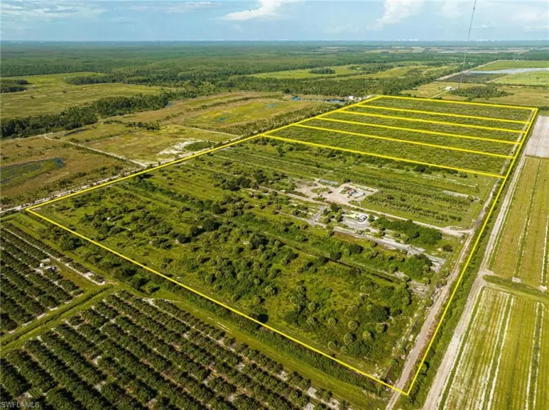 ESTERO