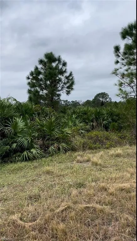 LEHIGH ACRES