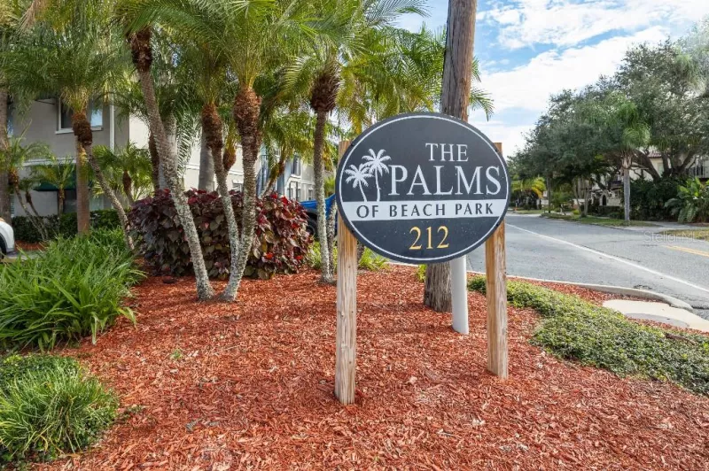 TAMPA