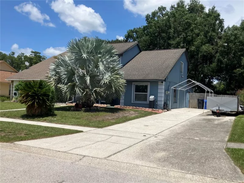 TAMPA