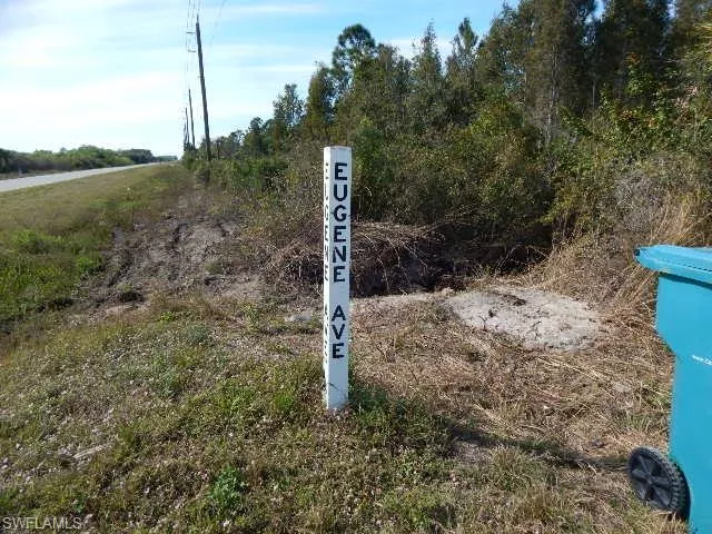 PUNTA GORDA
