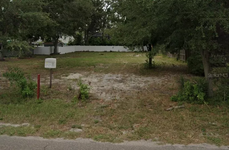 TAMPA