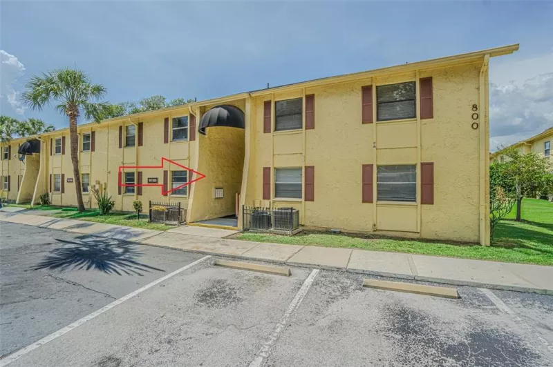 TAMPA