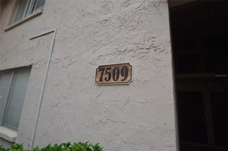 TAMPA