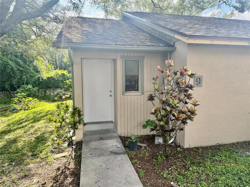 TAMPA