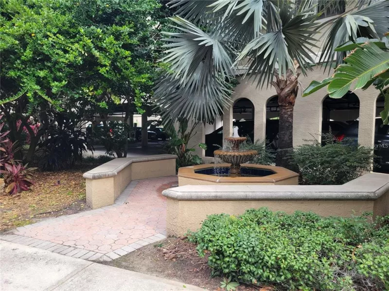 TAMPA