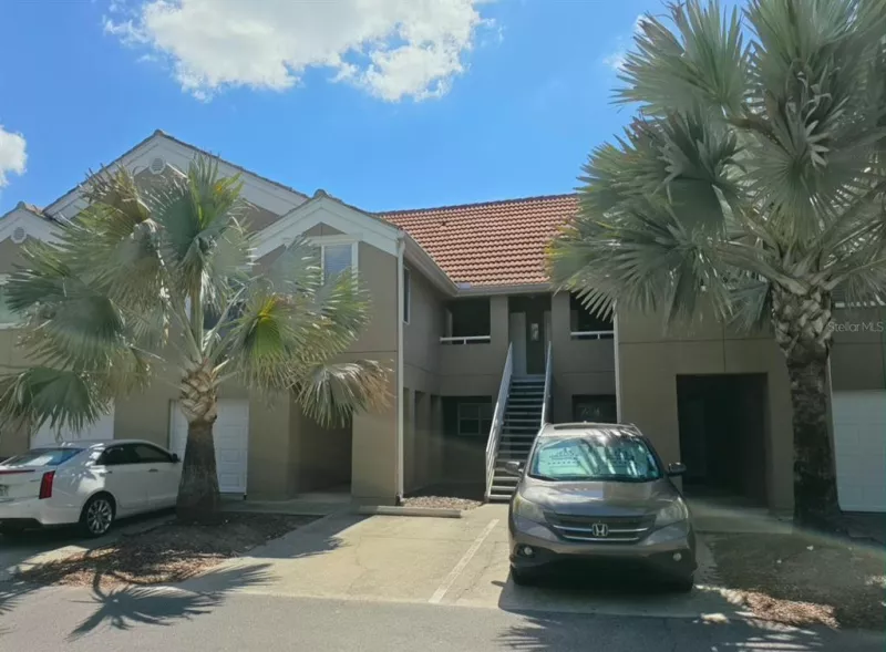 TAMPA