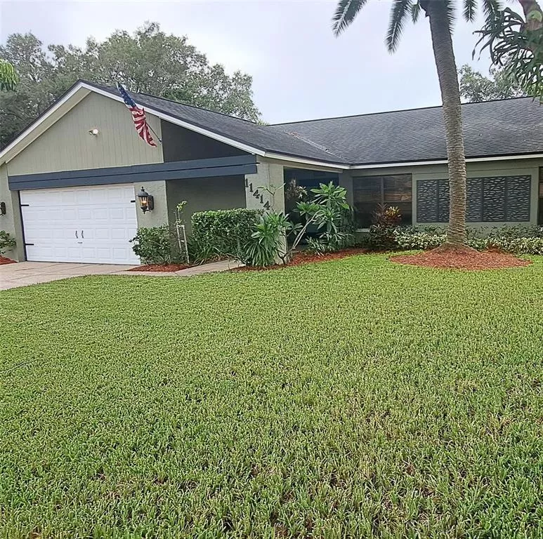 TAMPA