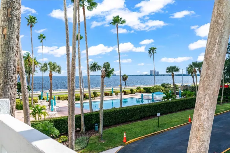 TAMPA