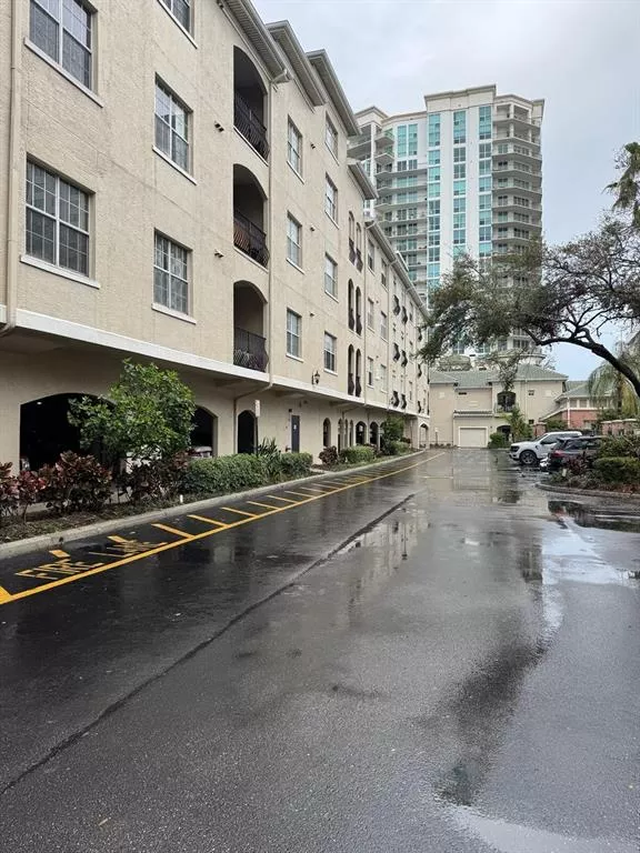 TAMPA