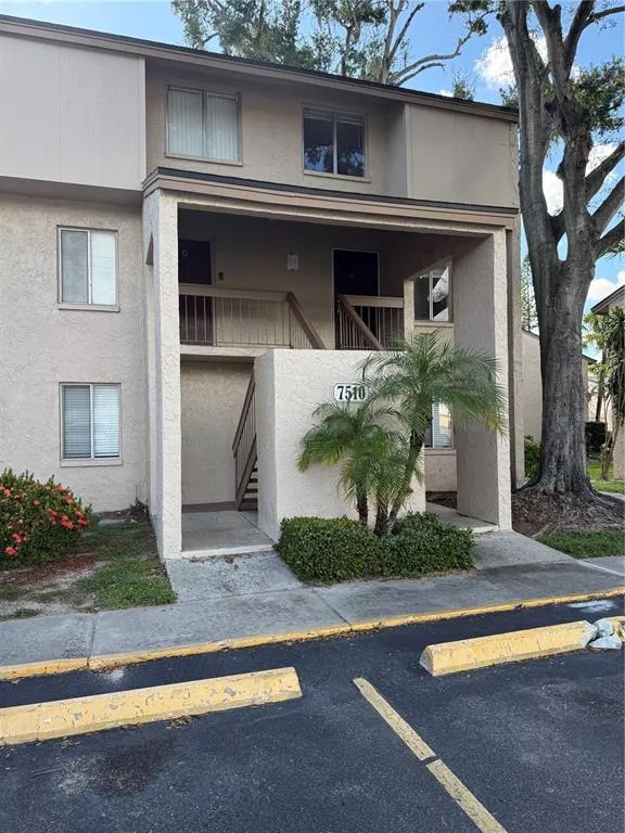 TAMPA