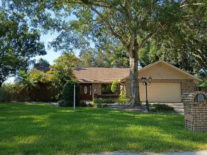 TAMPA