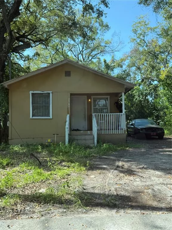 TAMPA