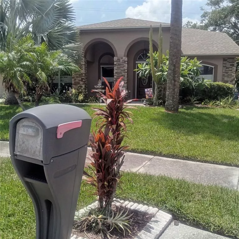 TAMPA