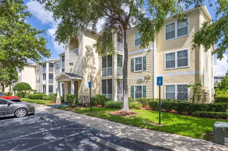TAMPA
