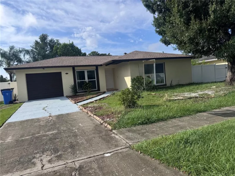 TAMPA