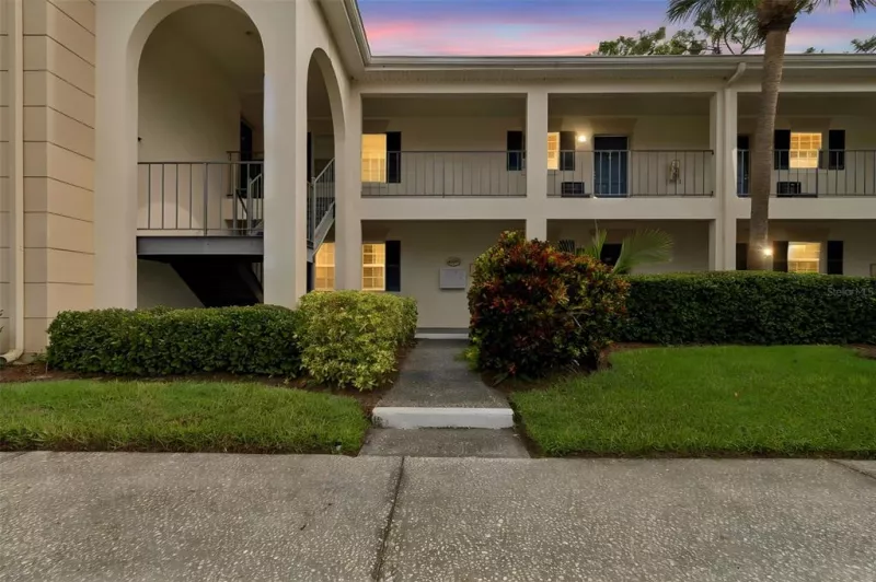TAMPA