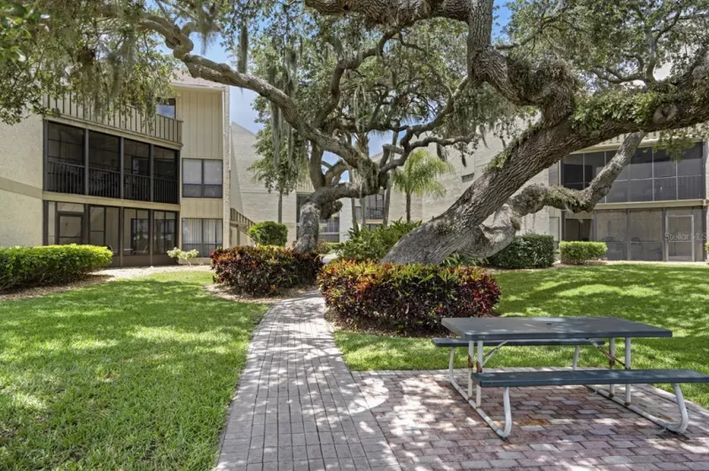 SARASOTA