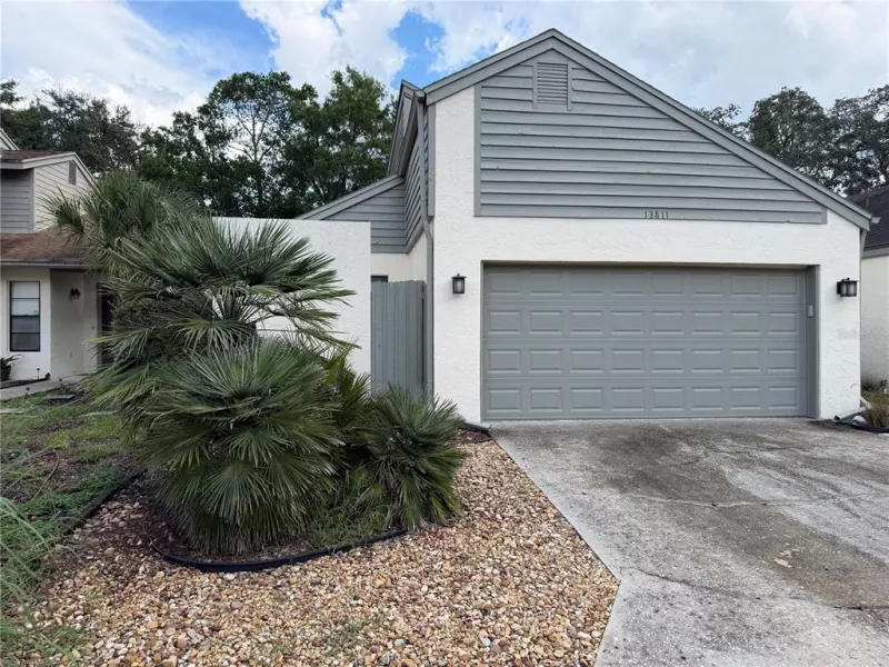 TAMPA