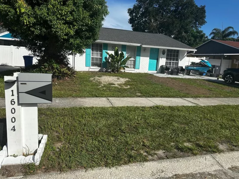 TAMPA